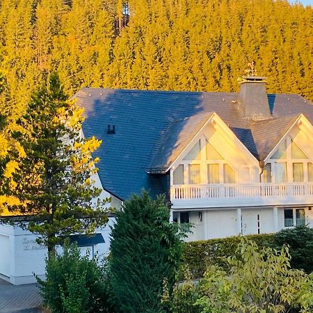 Landhaus Muehlenberg Willingen  Zewnętrze zdjęcie