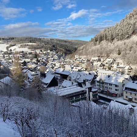 Landhaus Muehlenberg Willingen  Zewnętrze zdjęcie