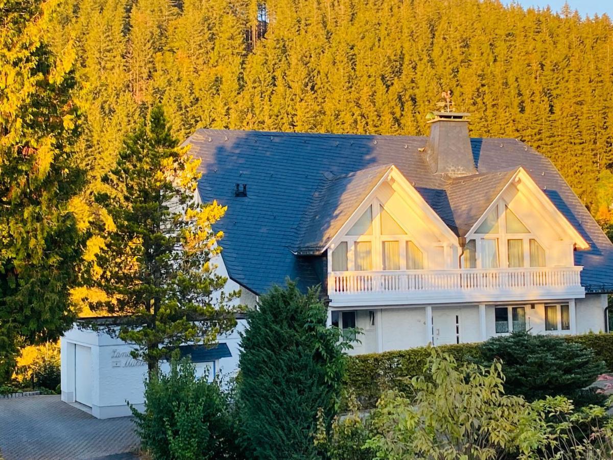 Landhaus Muehlenberg Willingen  Zewnętrze zdjęcie