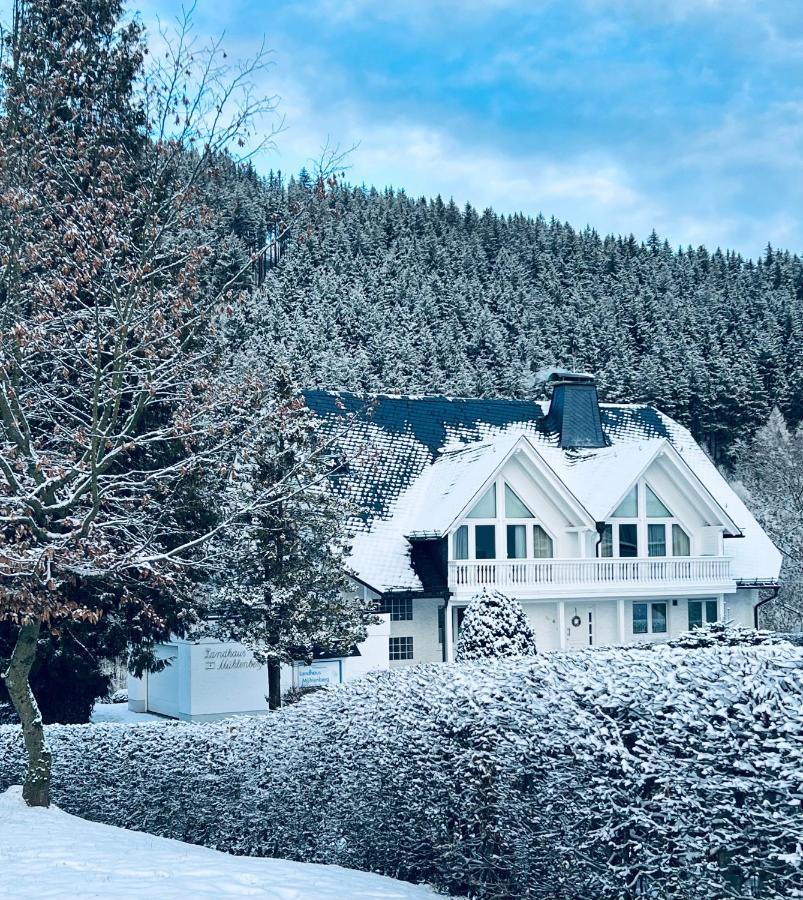 Landhaus Muehlenberg Willingen  Zewnętrze zdjęcie