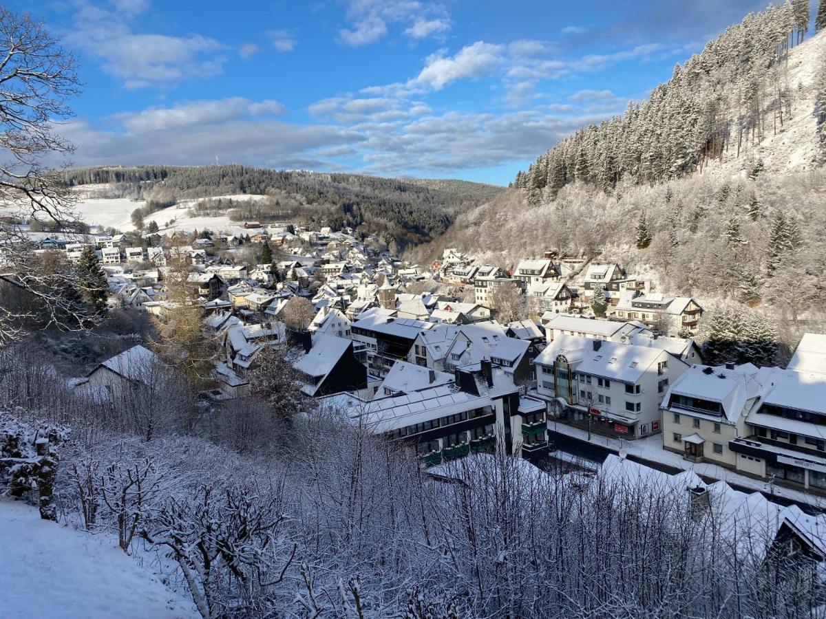 Landhaus Muehlenberg Willingen  Zewnętrze zdjęcie